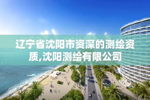 遼寧省沈陽市資深的測繪資質,沈陽測繪有限公司