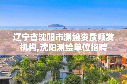 遼寧省沈陽(yáng)市測(cè)繪資質(zhì)頻發(fā)機(jī)構(gòu),沈陽(yáng)測(cè)繪單位招聘