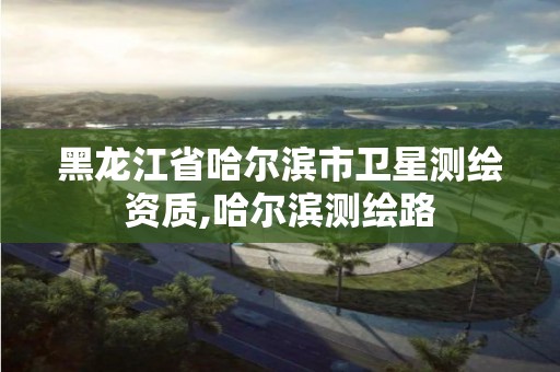 黑龍江省哈爾濱市衛(wèi)星測繪資質(zhì),哈爾濱測繪路