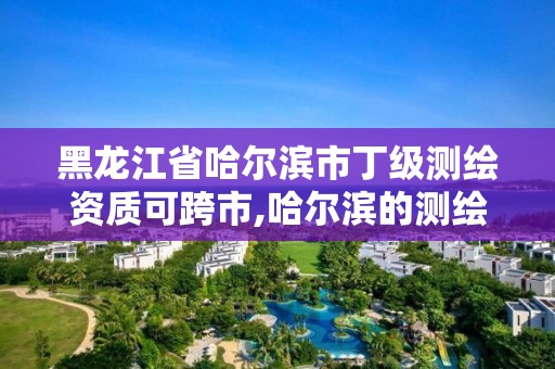 黑龍江省哈爾濱市丁級測繪資質可跨市,哈爾濱的測繪公司有哪些