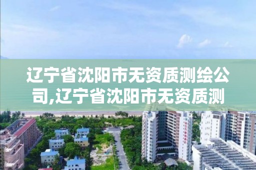 遼寧省沈陽市無資質測繪公司,遼寧省沈陽市無資質測繪公司有幾家