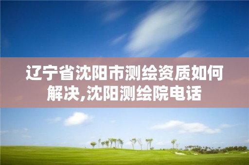 遼寧省沈陽市測繪資質如何解決,沈陽測繪院電話