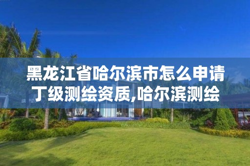 黑龍江省哈爾濱市怎么申請丁級測繪資質,哈爾濱測繪局招聘