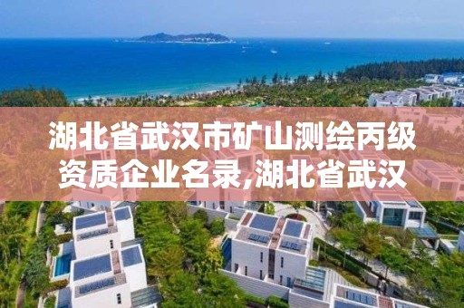 湖北省武漢市礦山測繪丙級資質企業名錄,湖北省武漢市礦山測繪丙級資質企業名錄