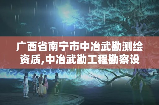 廣西省南寧市中冶武勘測繪資質,中冶武勘工程勘察設計院