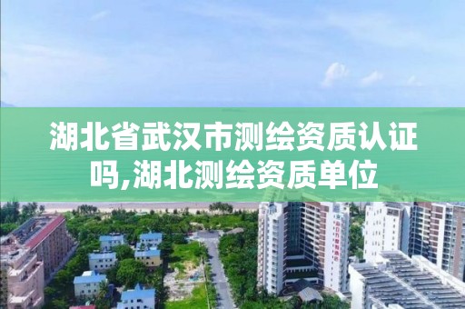 湖北省武漢市測繪資質認證嗎,湖北測繪資質單位