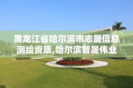 黑龍江省哈爾濱市志晟信息測繪資質,哈爾濱智晟偉業商貿有限公司