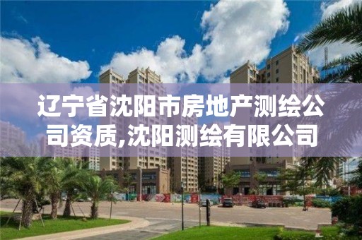 遼寧省沈陽市房地產測繪公司資質,沈陽測繪有限公司。