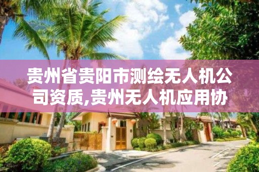 貴州省貴陽市測繪無人機公司資質,貴州無人機應用協會