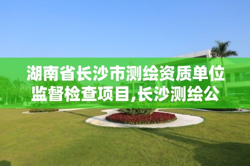 湖南省長沙市測繪資質單位監督檢查項目,長沙測繪公司資質有哪家