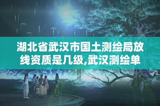 湖北省武漢市國土測繪局放線資質(zhì)是幾級(jí),武漢測繪單位。