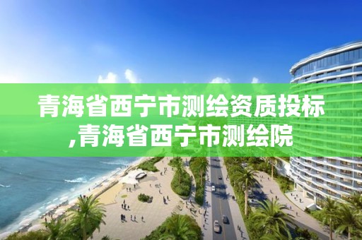 青海省西寧市測繪資質投標,青海省西寧市測繪院