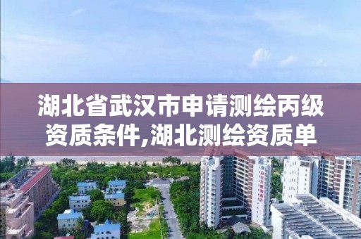 湖北省武漢市申請測繪丙級資質條件,湖北測繪資質單位