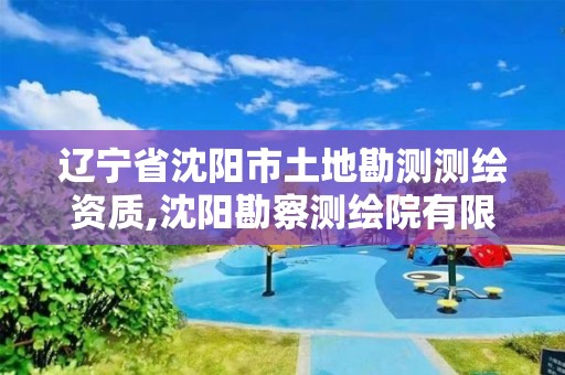 遼寧省沈陽市土地勘測測繪資質,沈陽勘察測繪院有限公司招聘