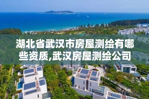 湖北省武漢市房屋測繪有哪些資質,武漢房屋測繪公司