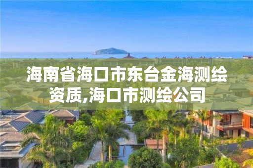 海南省?？谑袞|臺金海測繪資質,海口市測繪公司