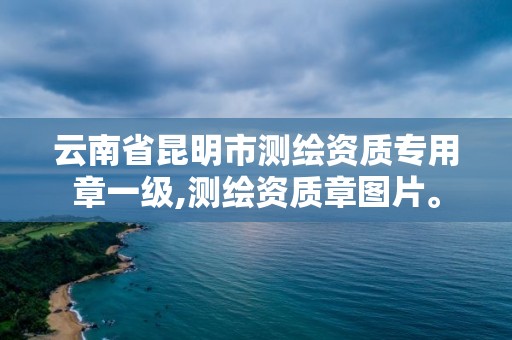 云南省昆明市測(cè)繪資質(zhì)專用章一級(jí),測(cè)繪資質(zhì)章圖片。