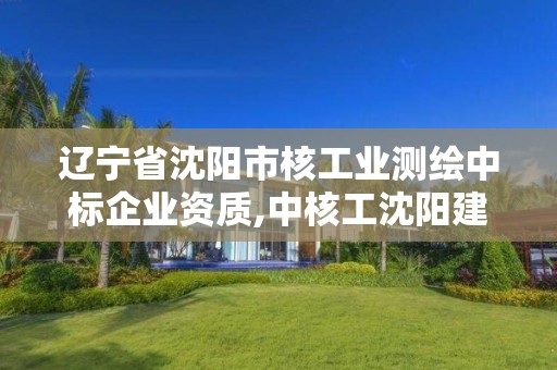 遼寧省沈陽市核工業測繪中標企業資質,中核工沈陽建筑設計有限公司。