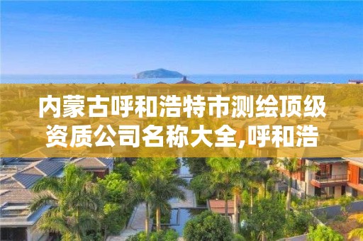 內蒙古呼和浩特市測繪頂級資質公司名稱大全,呼和浩特測繪局屬于什么單位管理。