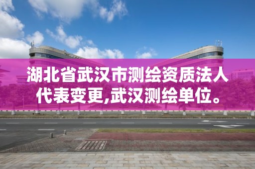 湖北省武漢市測繪資質法人代表變更,武漢測繪單位。