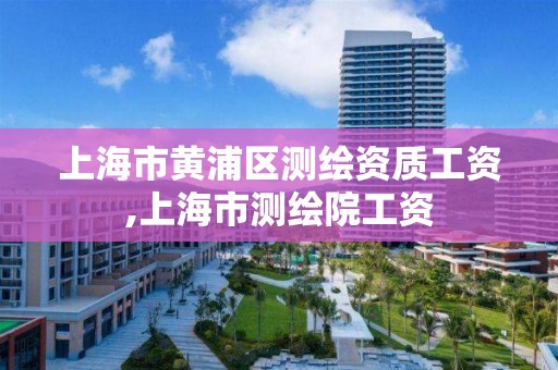 上海市黃浦區測繪資質工資,上海市測繪院工資