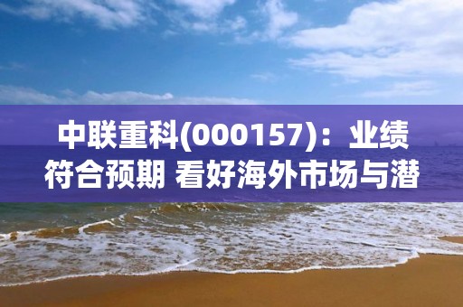 中聯重科(000157)：業績符合預期 看好海外市場與潛力業務增長