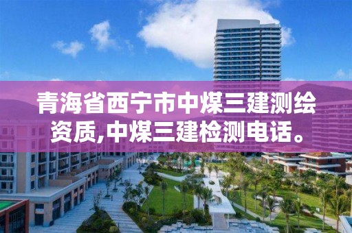 青海省西寧市中煤三建測繪資質,中煤三建檢測電話。