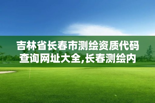 吉林省長春市測繪資質代碼查詢網址大全,長春測繪內業招聘。