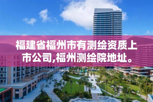 福建省福州市有測繪資質上市公司,福州測繪院地址。