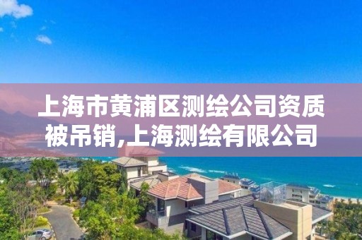 上海市黃浦區(qū)測繪公司資質(zhì)被吊銷,上海測繪有限公司