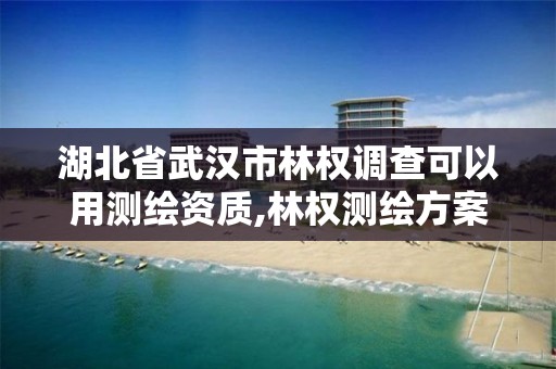 湖北省武漢市林權調查可以用測繪資質,林權測繪方案。