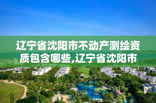 遼寧省沈陽市不動產測繪資質包含哪些,遼寧省沈陽市不動產測繪資質包含哪些公司。