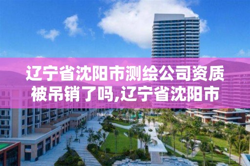 遼寧省沈陽市測繪公司資質(zhì)被吊銷了嗎,遼寧省沈陽市測繪公司資質(zhì)被吊銷了嗎現(xiàn)在。