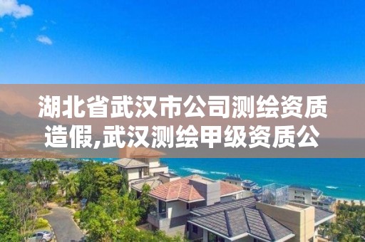 湖北省武漢市公司測繪資質造假,武漢測繪甲級資質公司