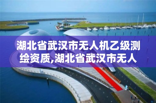 湖北省武漢市無人機乙級測繪資質,湖北省武漢市無人機乙級測繪資質企業名單。