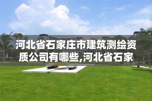 河北省石家莊市建筑測繪資質公司有哪些,河北省石家莊市建筑測繪資質公司有哪些名單