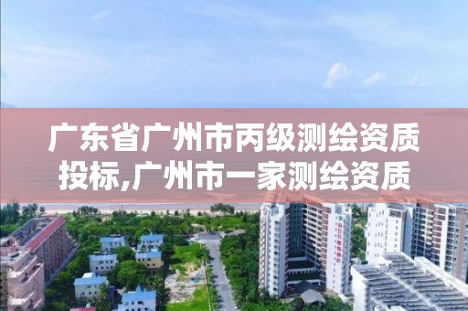 廣東省廣州市丙級測繪資質(zhì)投標,廣州市一家測繪資質(zhì)單位