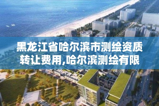 黑龍江省哈爾濱市測繪資質轉讓費用,哈爾濱測繪有限公司