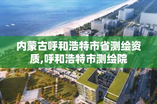 內蒙古呼和浩特市省測繪資質,呼和浩特市測繪院