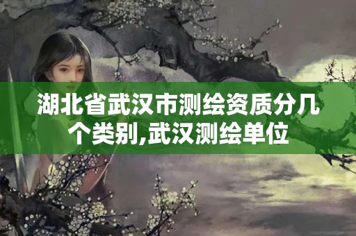 湖北省武漢市測繪資質分幾個類別,武漢測繪單位