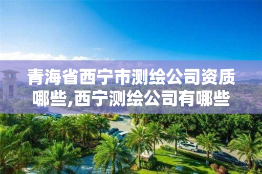 青海省西寧市測繪公司資質(zhì)哪些,西寧測繪公司有哪些