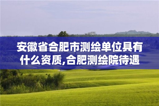 安徽省合肥市測繪單位具有什么資質,合肥測繪院待遇怎么樣