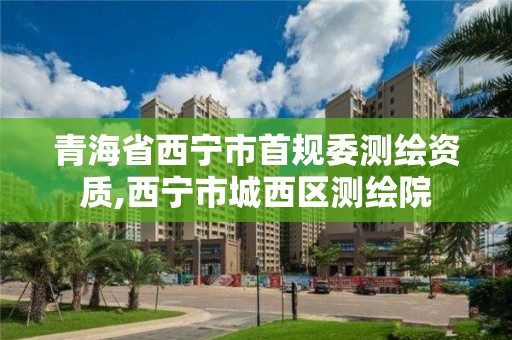 青海省西寧市首規委測繪資質,西寧市城西區測繪院