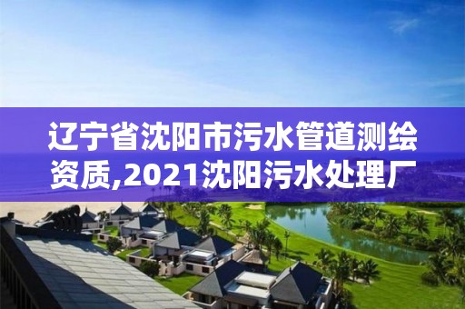 遼寧省沈陽市污水管道測繪資質,2021沈陽污水處理廠建設