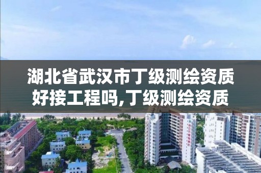 湖北省武漢市丁級測繪資質好接工程嗎,丁級測繪資質能承擔的業務。