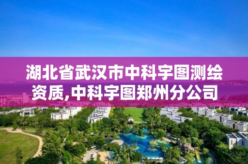 湖北省武漢市中科宇圖測繪資質(zhì),中科宇圖鄭州分公司怎么樣