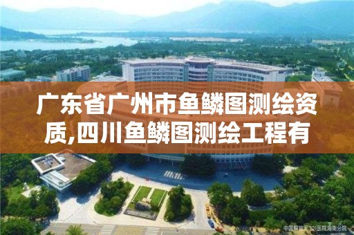 廣東省廣州市魚鱗圖測繪資質,四川魚鱗圖測繪工程有限公司