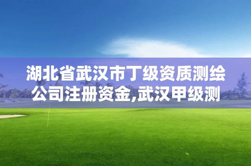 湖北省武漢市丁級資質測繪公司注冊資金,武漢甲級測繪資質公司。