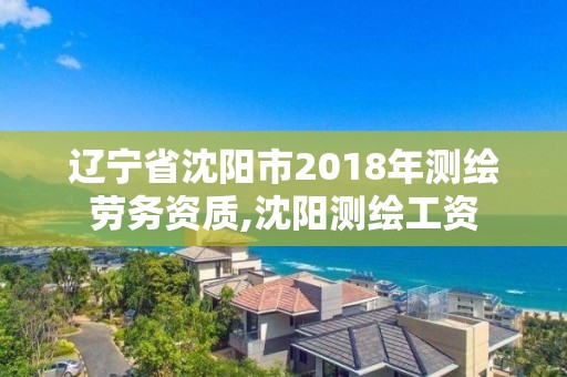 遼寧省沈陽市2018年測繪勞務資質,沈陽測繪工資