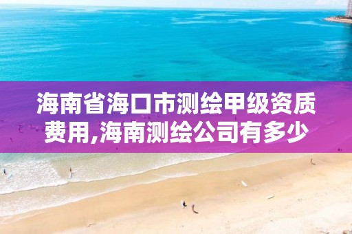 海南省?？谑袦y繪甲級資質費用,海南測繪公司有多少家